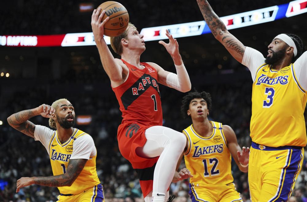 老智力运动 老智力运动